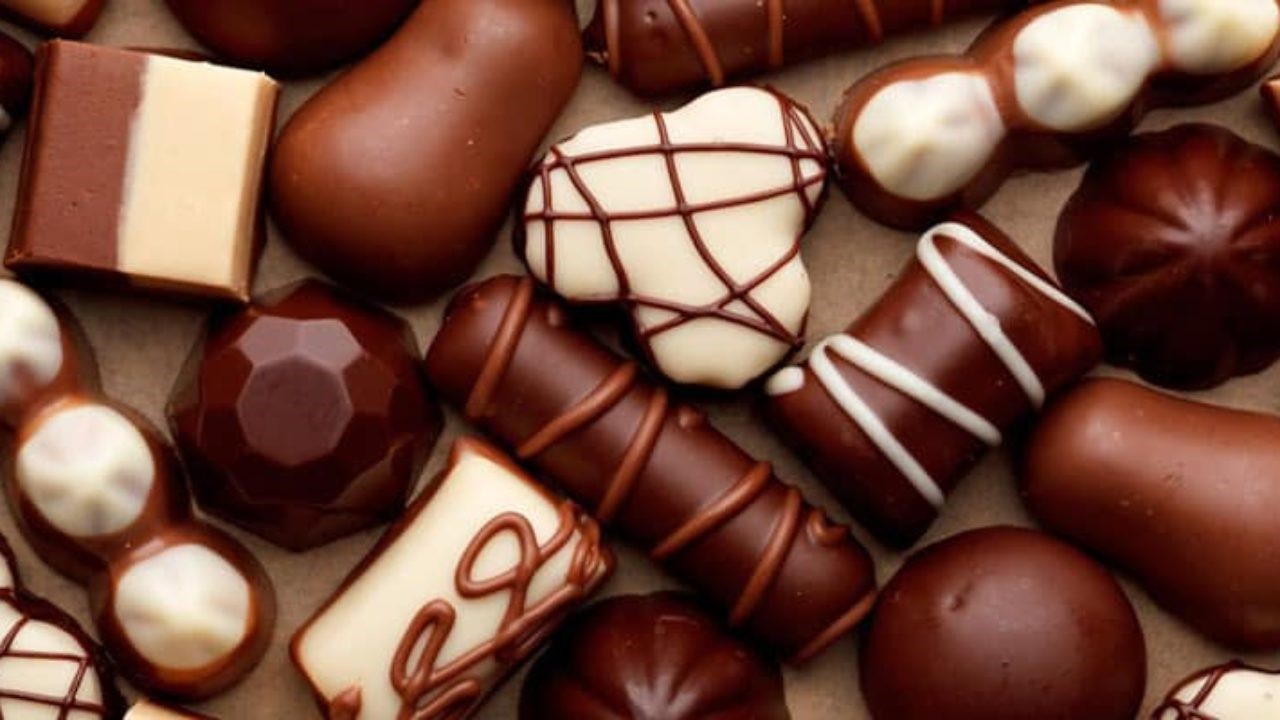 Le concept consiste à inviter des chocolatiers et des producteurs de chocolat du monde entier, le public à comprendre d'où vient le chocolat et quel est le processus de fabrication d'un bon chocolat. 