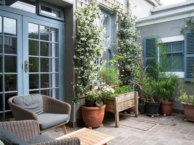 100+ plantes pour la véranda et le patio faciles à entretenir Jardin, Jardin et Balcon ZENIDEES