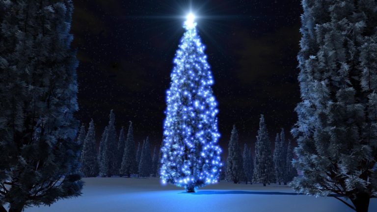 55 idées déco créatives avec sapin de Noël en blanc et bleu - Déco de