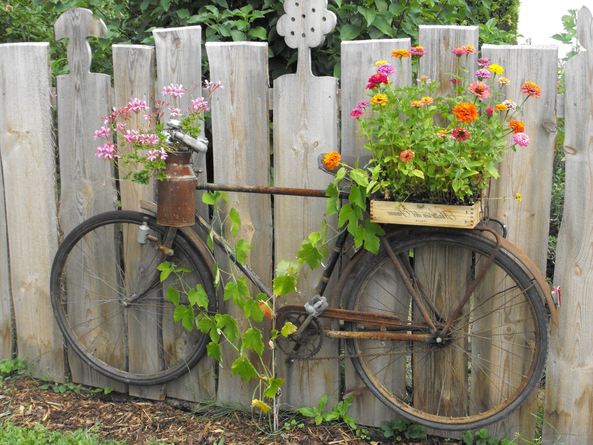 40+ idées de bricolage pour jardin créatives et économiques - DIY