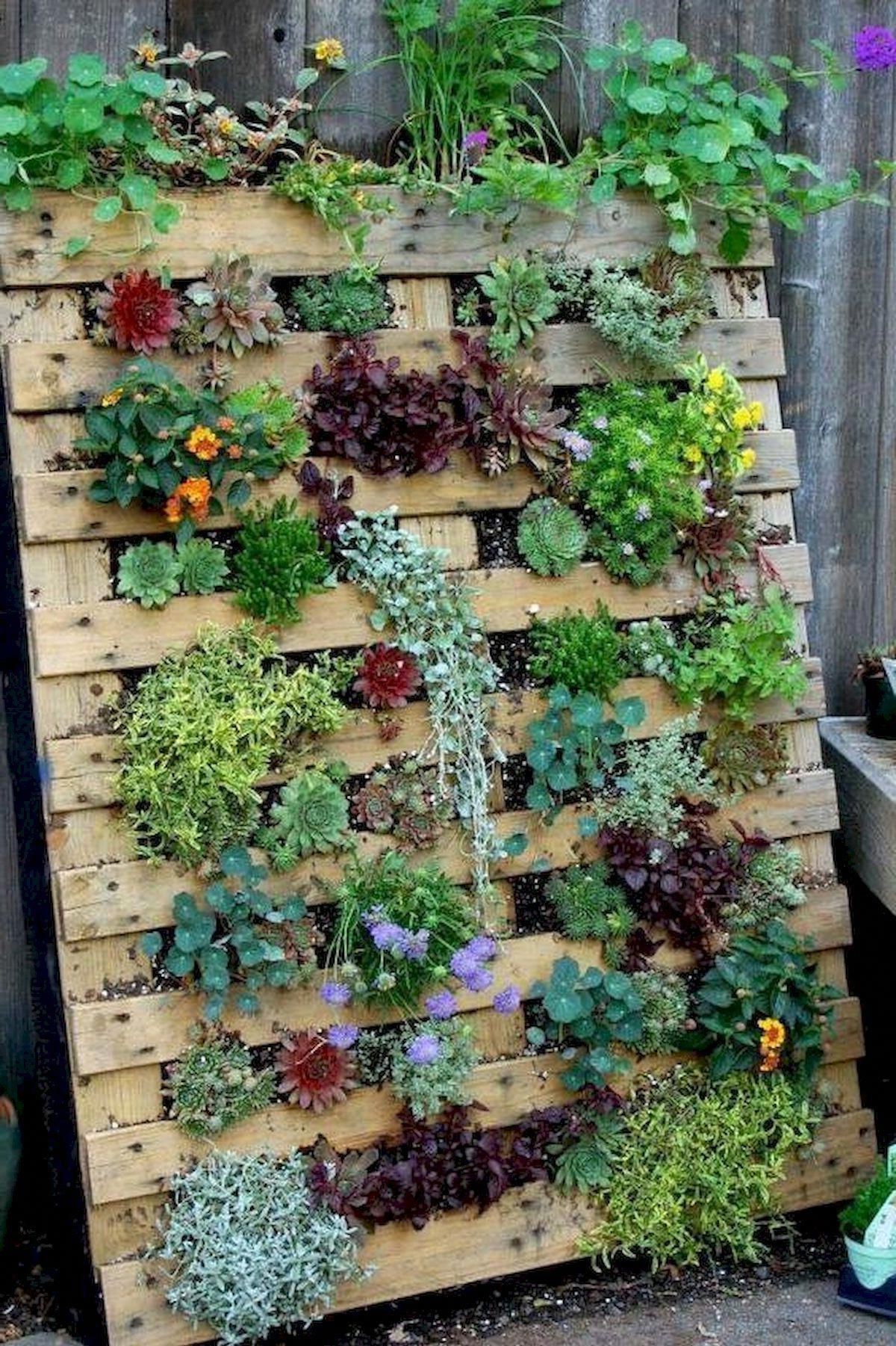 Mur végétal en palette DIY.