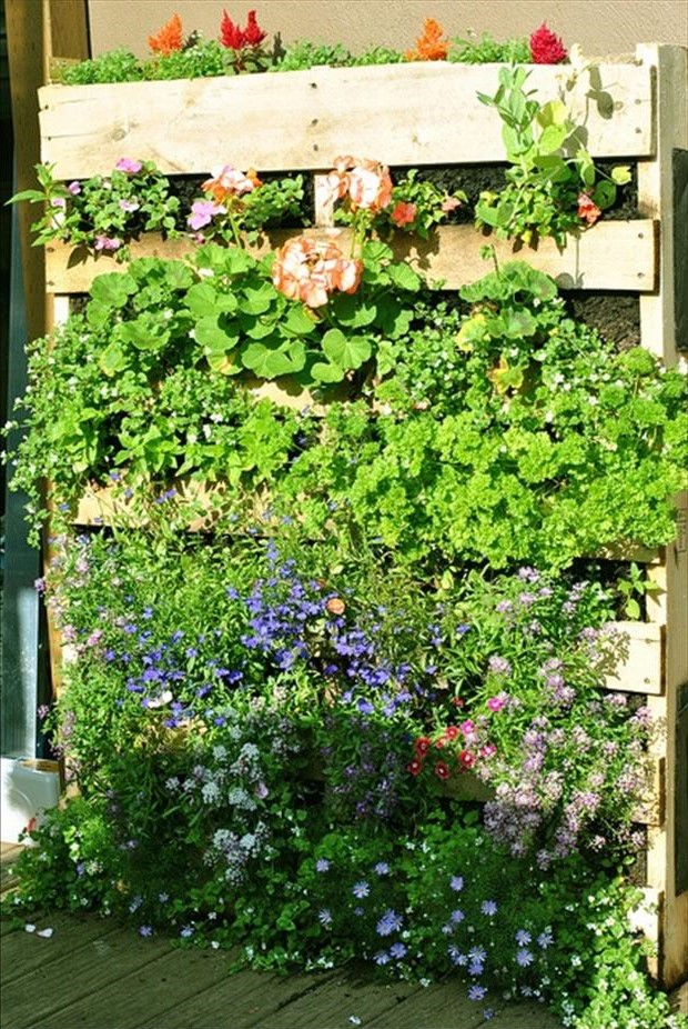 Projet DIY pour votre jardin.