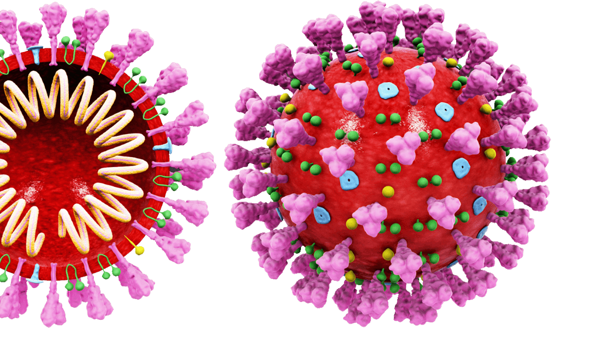 Traitement des coronavirus - la nouvelle pandémie