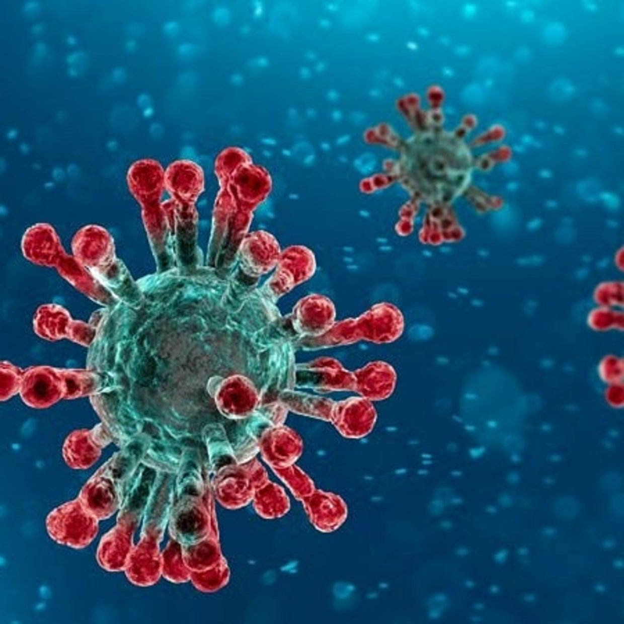 Traitement des coronavirus - traiter les symptômes