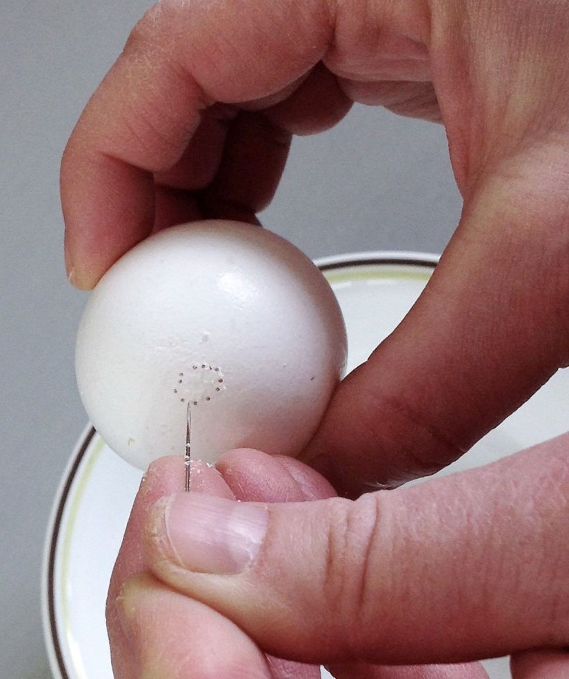 Faites un trou dans l'œuf à l'aide d'une aiguille épaisse.