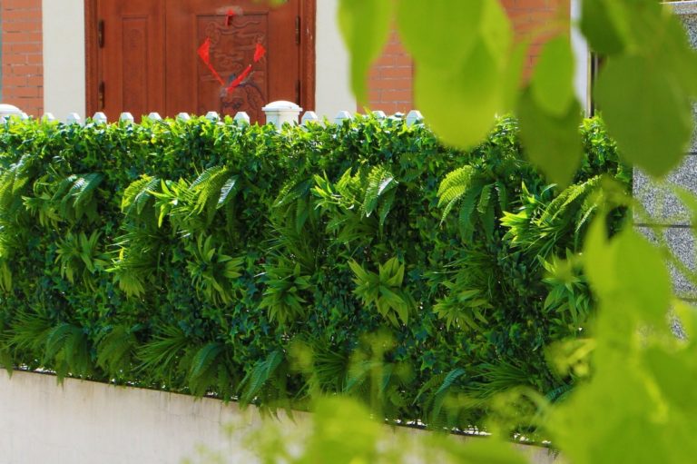 Quelles sont les 10 meilleures options de brise-vue pas cher et où les