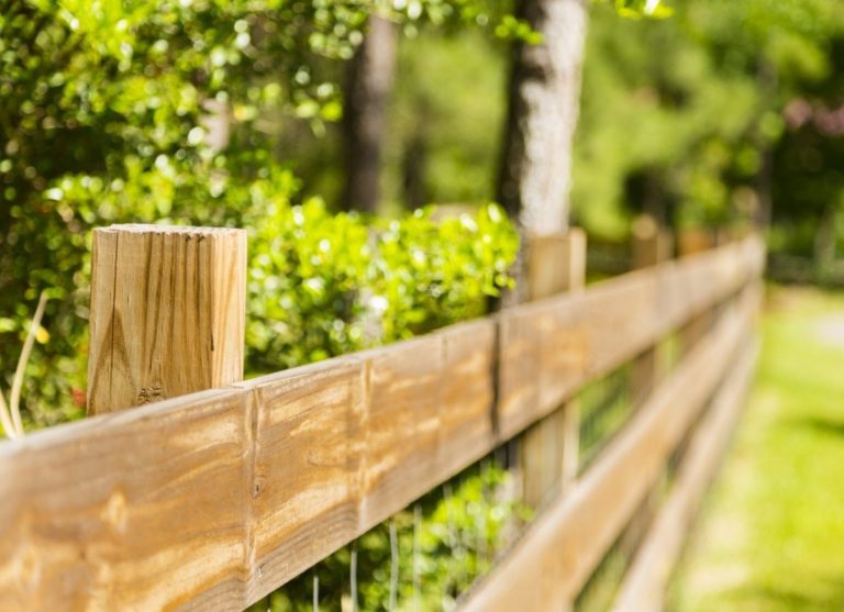 Quelles sont les 10 meilleures options de brise-vue pas cher et où les