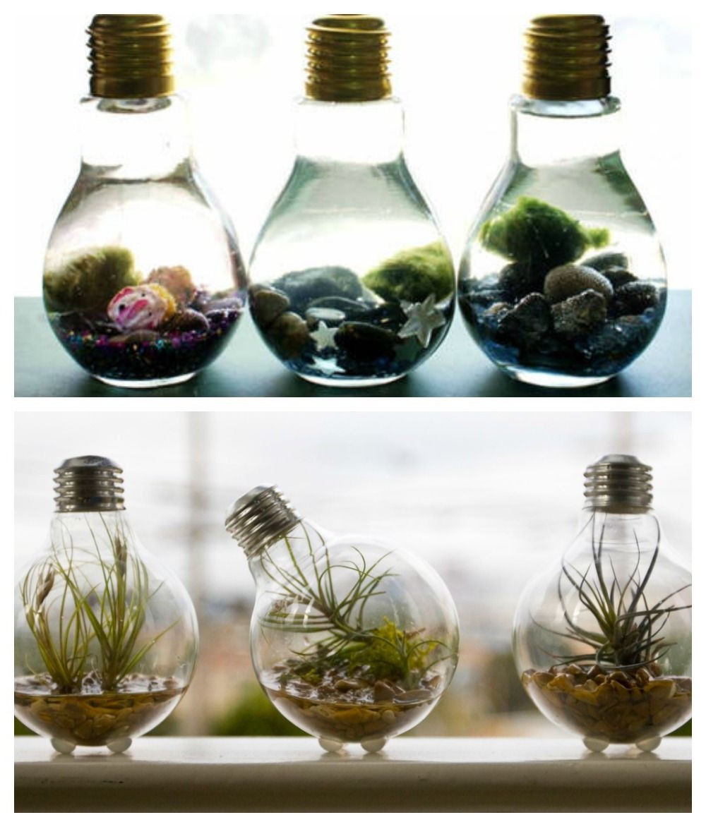 Vases DIY faits d'ampoules électriques recyclées.