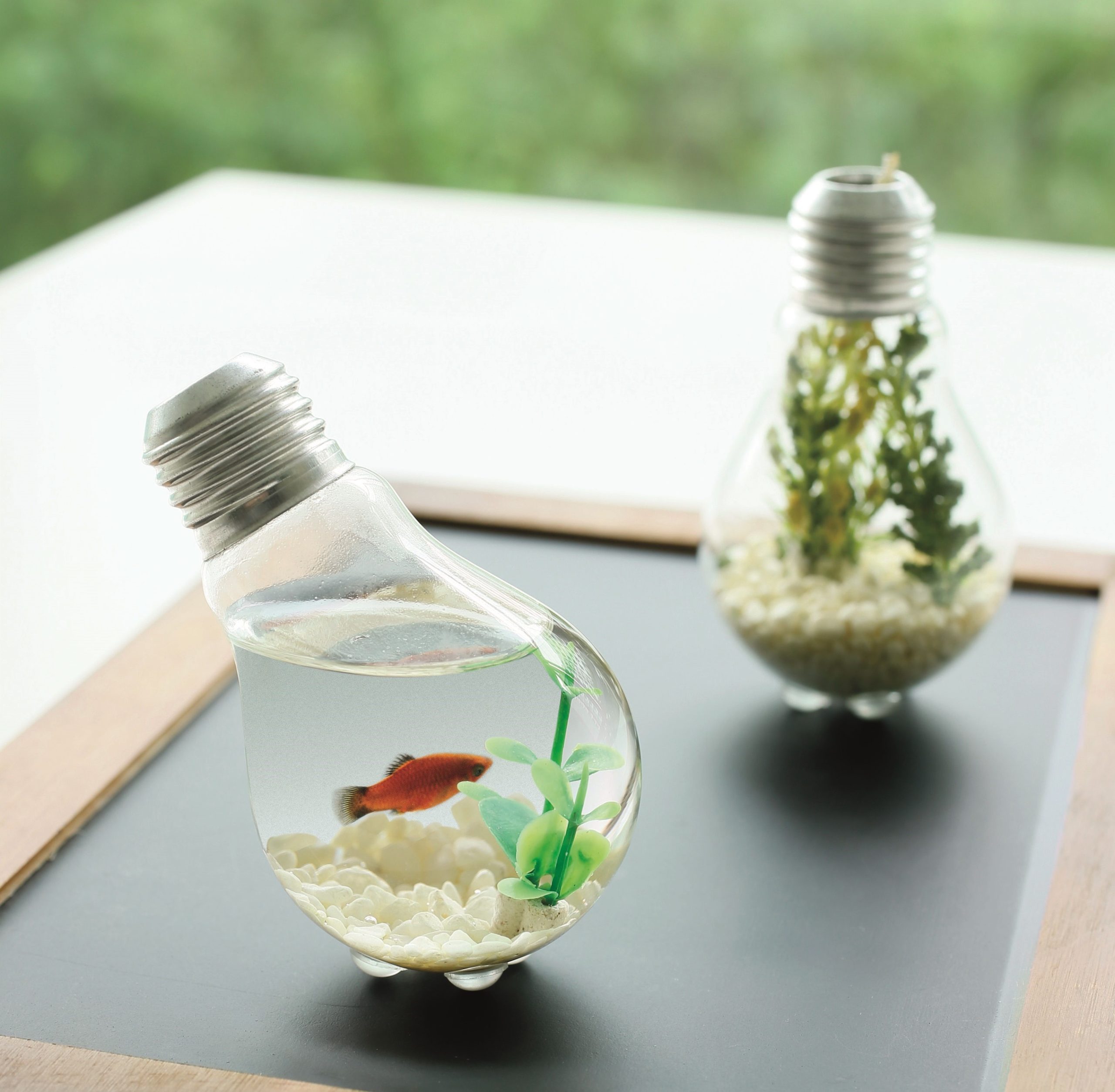 Vases DIY faits d'ampoules électriques recyclées.