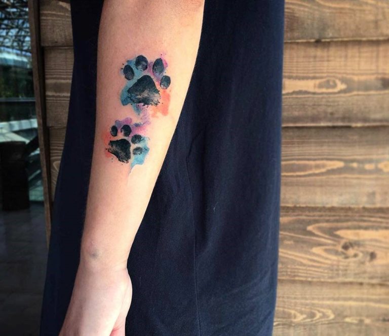 Les 55 meilleurs designs d