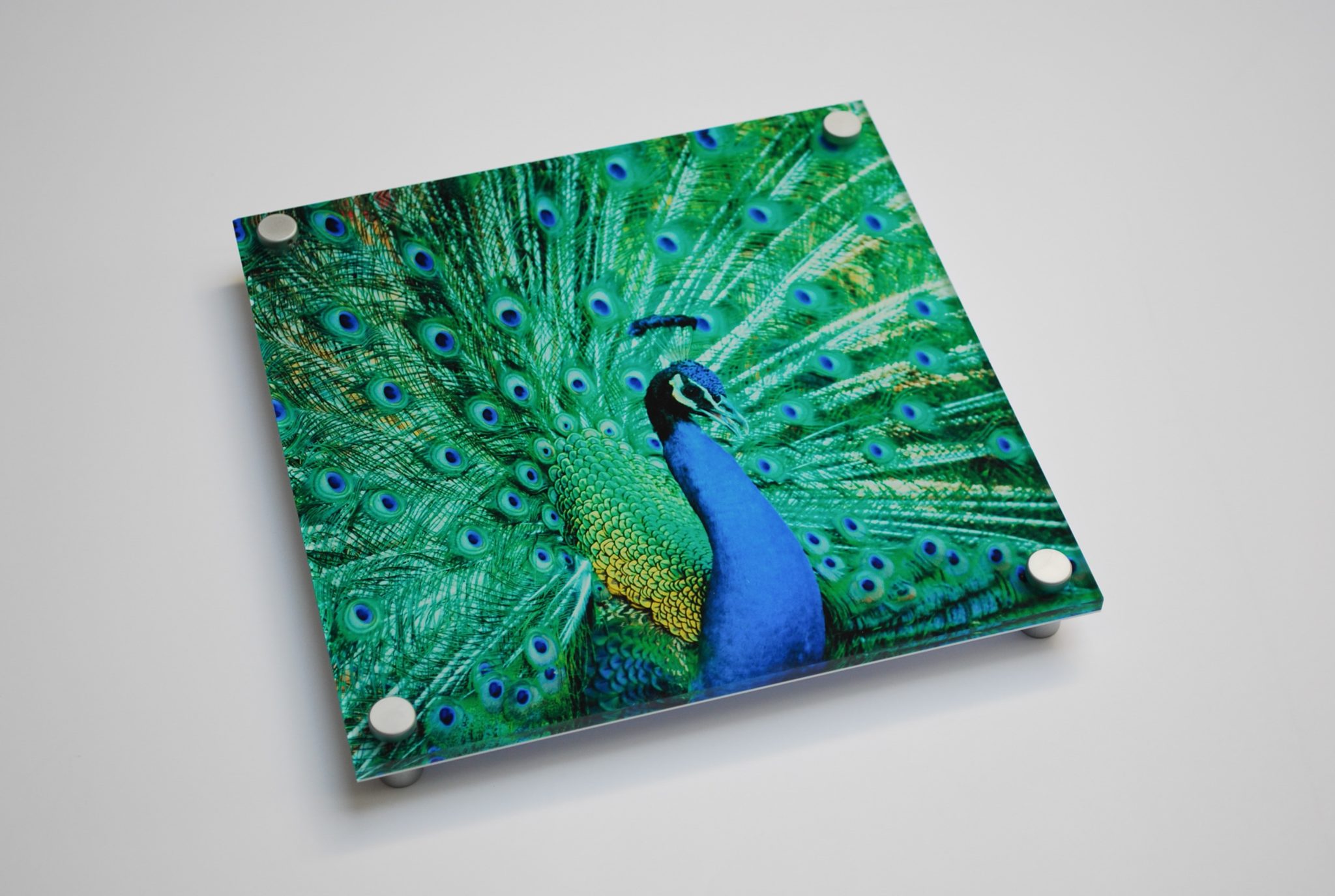 Des idées d'impression sur plexiglas qui est meilleure que sur toile