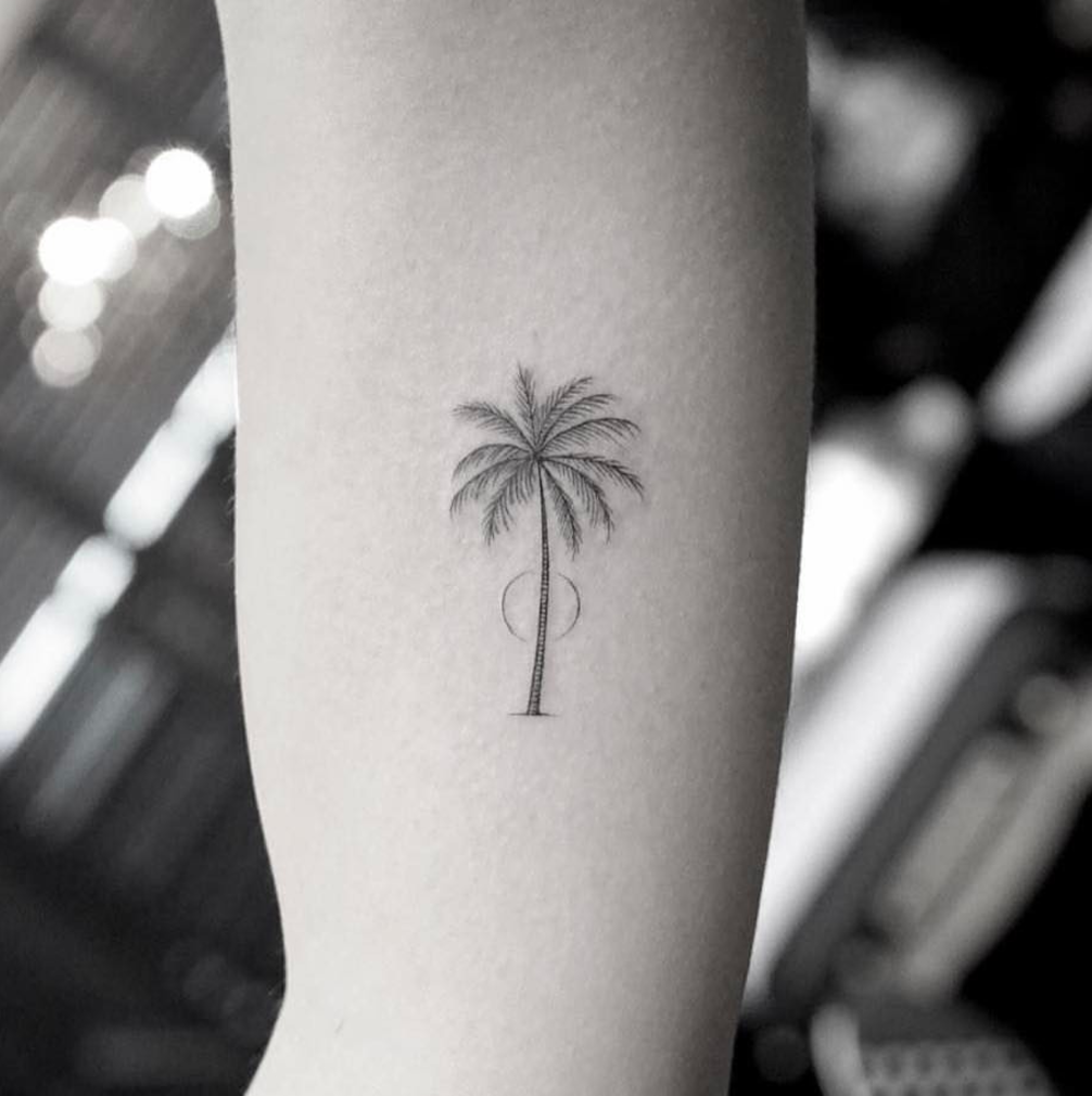 Ce palmier est parfait pour les amoureux de la mer et de la plage.