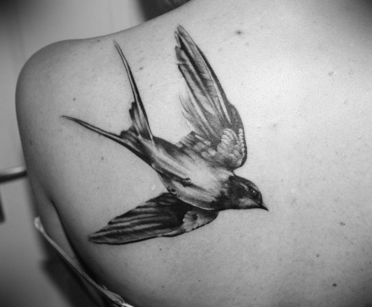 Tatouage Hirondelle - Signification et Idées Design | Zenidées.com