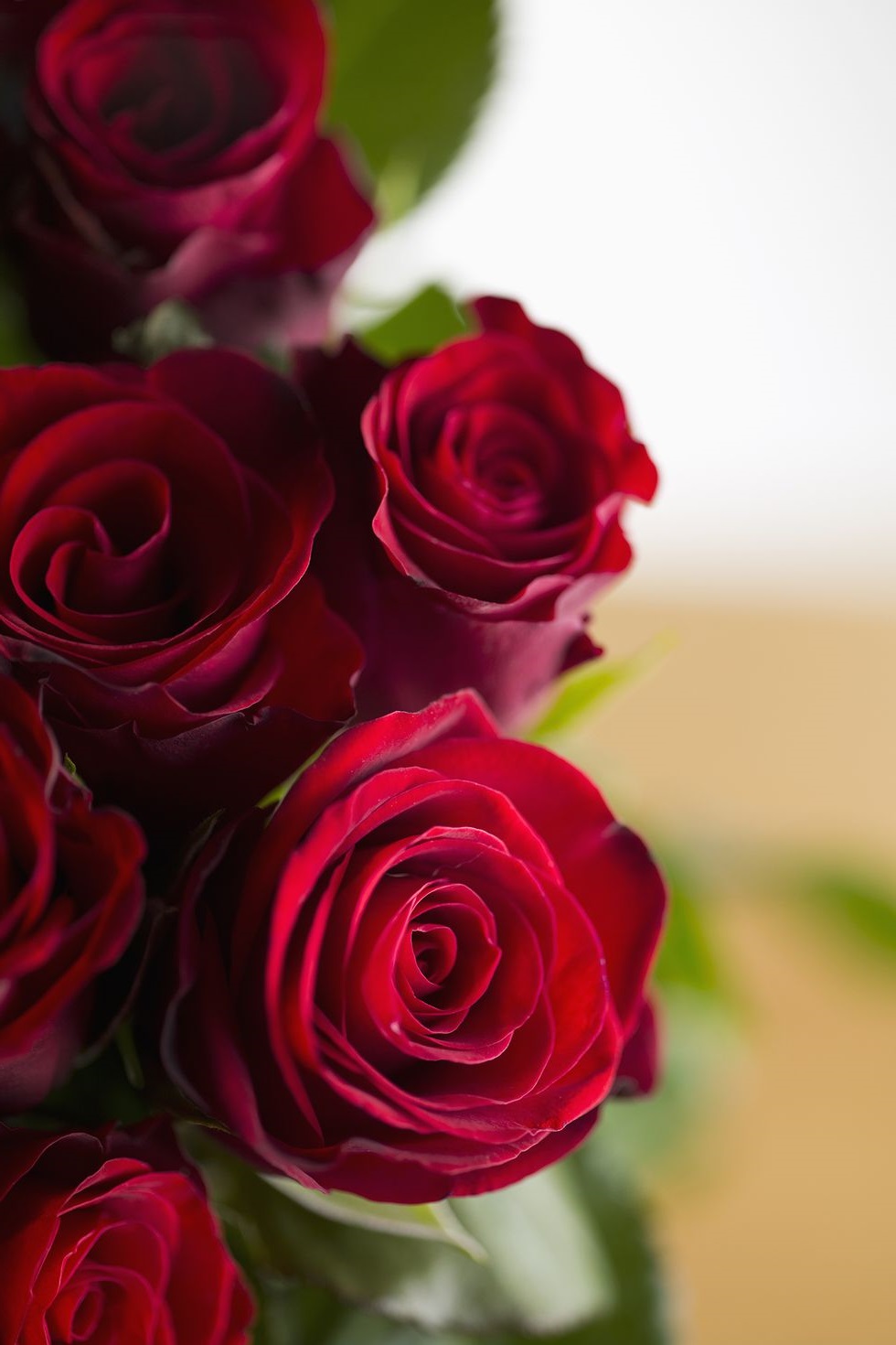 Bouquet de roses pour la Saint-Valentin.