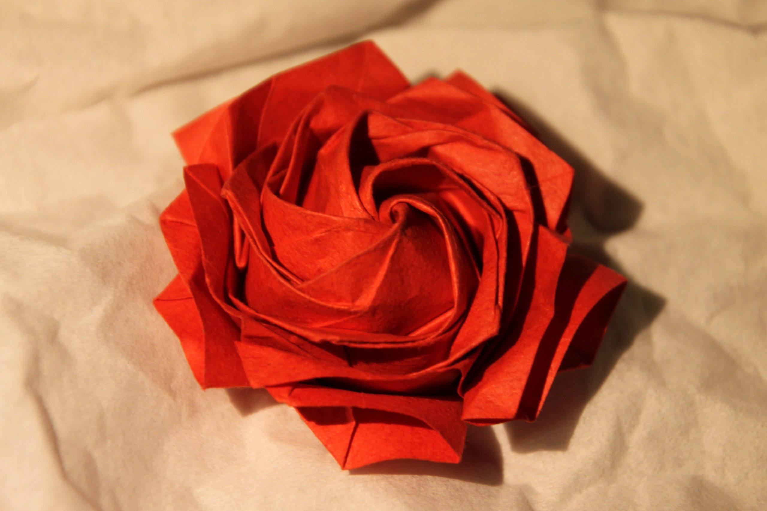 Rose origami.