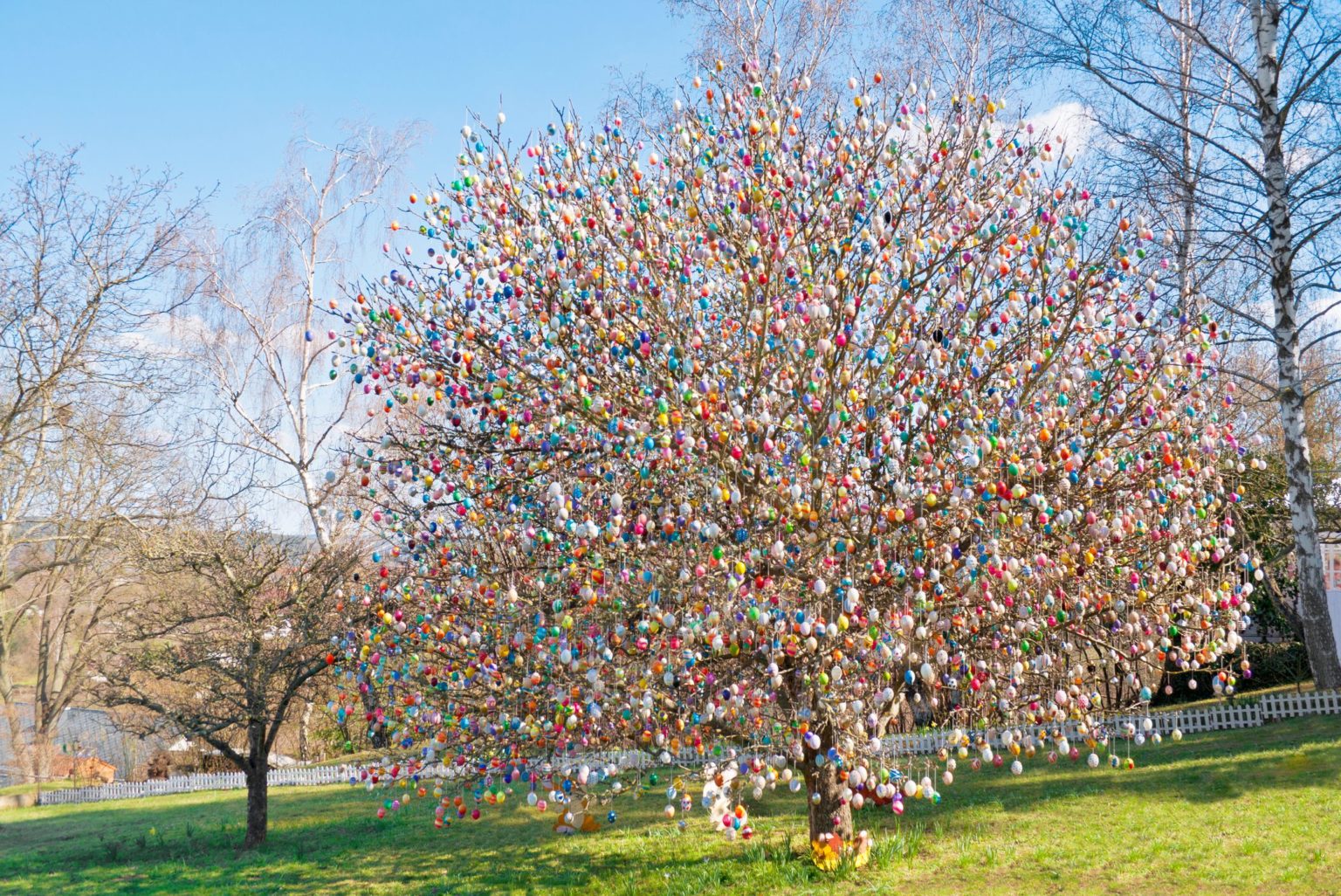 D'où vient la tradition de l'arbre de Pâques? (+44 idées déco