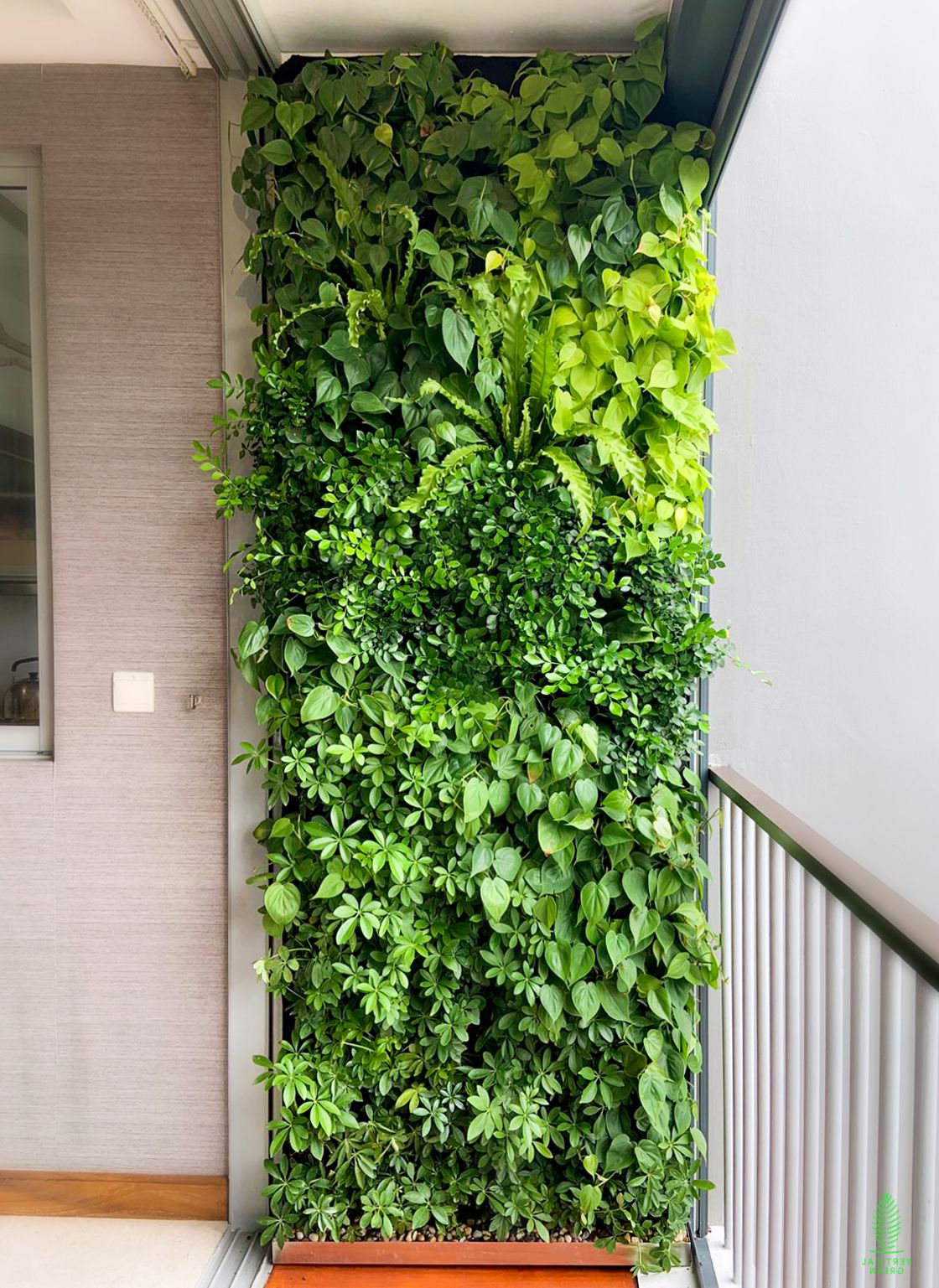 Mur végétal sur le balcon.