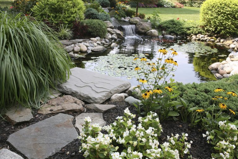 Tuto facile pour fabriquer un petit bassin de jardin - DIY, Jardin