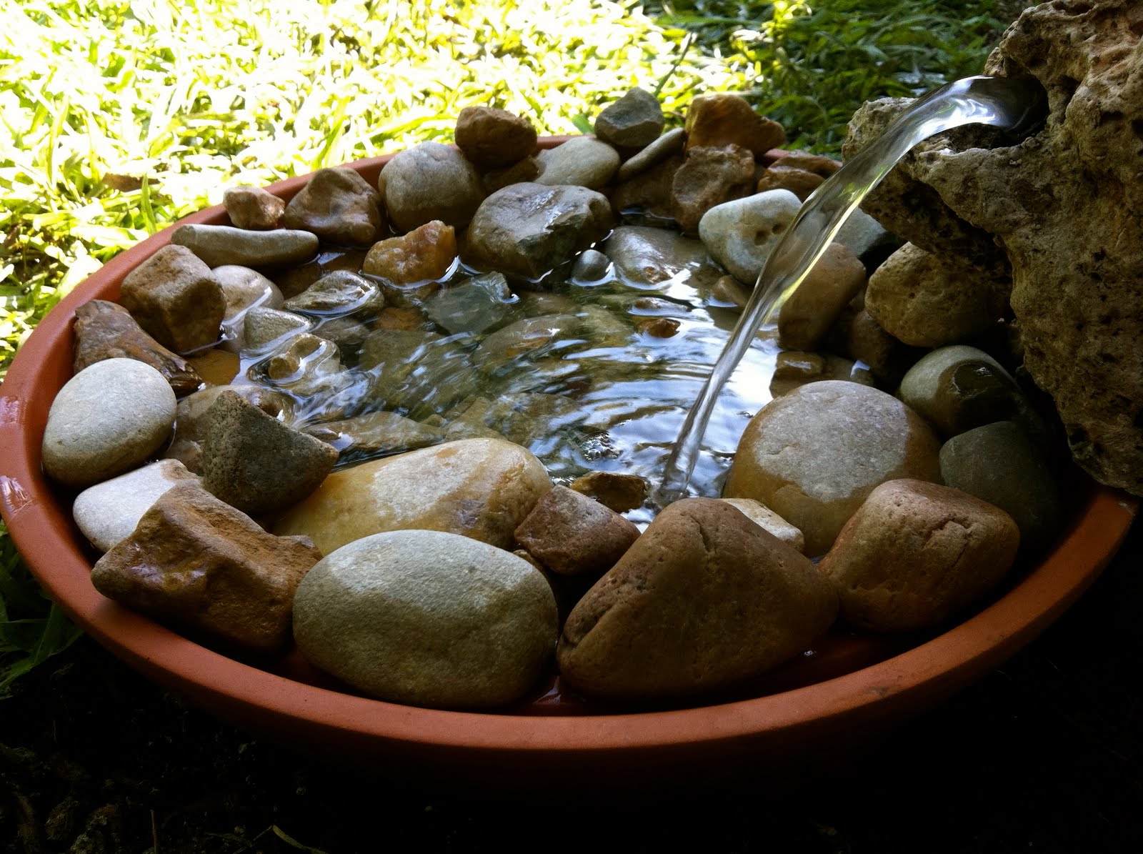 Petit bassin de jardin.