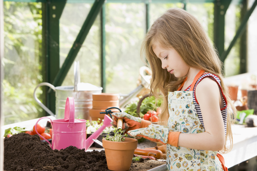Top 6 engrais naturels pour votre jardin
